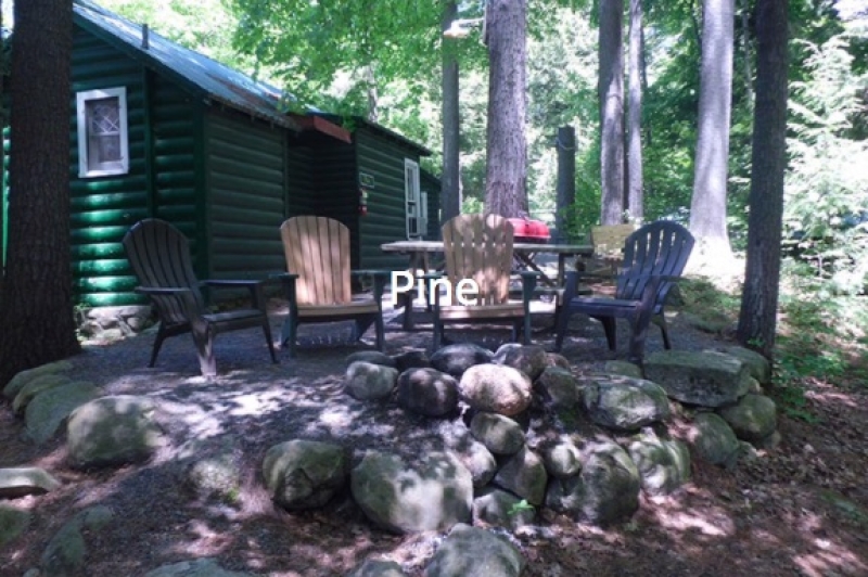 Pine Cottage